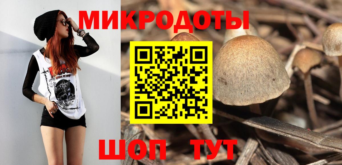 Нововоронеж  Псилоцибиновые грибы ЛСД  Вход с VPN 